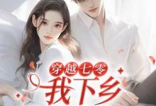 哪里可以免费读到林向南的完整故事？寻找穿越七零，我下乡相亲成功了-美文小说