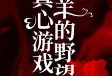 小说《真心游戏:羔羊的野望》在线章节阅读-美文小说
