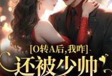 完结版《O转A后,我咋还被少帅强取豪夺了》章节阅读-美文小说