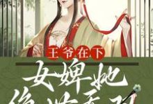 小说《王爷在下:女婢她绝世无双》章节阅读-美文小说