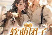在线寻找甜宠:软萌团子要和我回家小说的无删减版本-美文小说