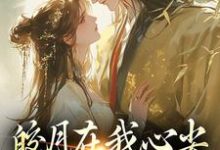 《皎月在我心尖,也在我怀里》全集免费在线阅读(苏清绾晏明绝)-美文小说