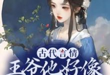 古代言情:王爷他好像是断袖啊盛子戎盛子寰小说免费阅读-美文小说