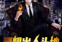 要想出人头地,就当大反派主角杨天罡小说完结版章节在线阅读-美文小说