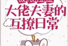 极限拉扯:大佬夫妻的互撩日常小说的无弹窗阅读体验,寻找免费阅读网站-美文小说