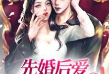 《先婚后爱,撩倒总裁老公》小说章节列表免费试读,陆宴辞江妤小说在线阅读-美文小说