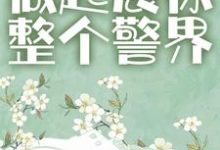 从实习做起震惊整个警界小说的无弹窗阅读体验,寻找免费阅读网站-美文小说