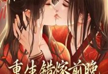 重生错嫁前晚，我找上前夫他爹小说的免费电子版在哪里可以下载或阅读？-美文小说