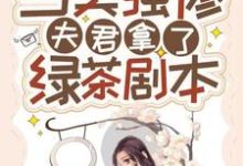 当美强惨夫君拿了绿茶剧本赵漾宁睿在线章节免费阅读-美文小说