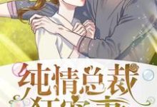 纯情总裁狂宠妻小说免费资源,纯情总裁狂宠妻在线阅读-美文小说