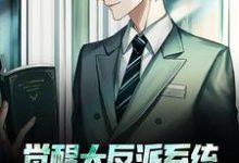 萧凡为主角的小说叫什么?免费看觉醒大反派系统,我成新的气运之子-美文小说