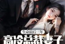 小说《生命最后三年，高冷总裁妻子疯狂报复我！》章节阅读-美文小说