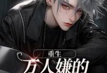 主角萧谨蓝景煜小说完结版在线阅读,重生:万人嫌的小少爷逆袭了免费看-美文小说