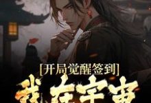 《开局觉醒签到,我在宇宙无敌了》小说大结局免费试读 叶梵小说-美文小说