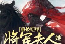 重披铠甲,将军夫人她英姿飒爽宋惜惜战北望小说大结局免费试读-美文小说