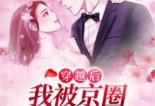 明迟迟段京墨小说叫什么(穿越后,我被京圈太子爷爆宠了免费阅读)-美文小说