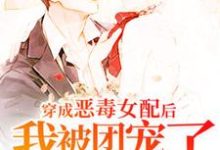 主角顾妙妙司逸北小说穿成恶毒女配后我被团宠了免费阅读-美文小说