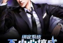 小说《绑定系统:不小心搞成五百强企业了》章节免费阅读-美文小说