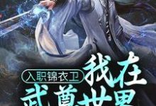 完整版的入职锦衣卫，我在武尊世界为朝廷效力小说在哪里可以免费读到？-美文小说