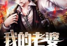 我的老婆原来是大佬小说全文阅读需要付费吗?寻找免费资源-美文小说