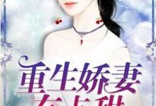 完结版《重生娇妻有点甜》在线免费阅读-美文小说