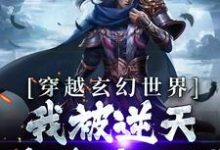 小说《穿越玄幻世界：我被逆天系统带飞了》章节阅读-美文小说