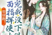 《带球跑!冷面指挥使大人宠我没下限》小说章节列表免费试读,洛染傅今安小说在线阅读-美文小说