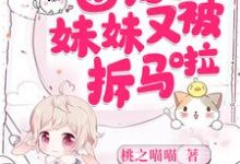 团宠妹妹又被拆马啦小说阅读,团宠妹妹又被拆马啦完结版-美文小说