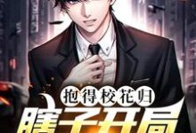 主角叫陈安的小说在哪阅读-美文小说