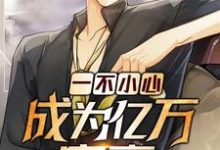 一不小心成为亿万富豪最新章节,一不小心成为亿万富豪章节在线阅读-美文小说