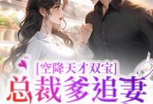空降天才双宝,总裁爹追妻太疯狂小说最新更新在哪里?免费在线看-美文小说