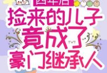 小说《四年后,捡来的儿子竟成了豪门继承人》在线章节阅读-美文小说