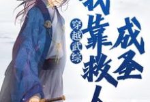 穿越武综,我靠救人成圣叶霖小说免费阅读-美文小说