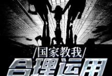 国家教我合理运用攻略系统小说免费资源,国家教我合理运用攻略系统在线阅读-美文小说