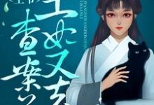 完结版《王爷,王妃又去查案了》在线免费阅读-美文小说