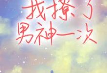 完结版《我撩了男神一次》章节阅读-美文小说
