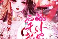 免费在线阅读腹黑王爷的穿越小农妃小说的正规网站有哪些?-美文小说