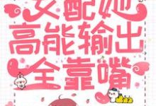 已完结小说《快穿:女配她高能输出全靠嘴》在线章节阅读-美文小说