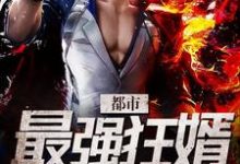 完结版《都市最强狂婿》章节目录在线阅读-美文小说