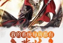 已完结小说《玄幻:我的系统每周都有免费装备》章节免费阅读-美文小说