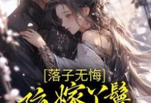 落子无悔,陪嫁丫鬟一心逃离檀容韩晏小说大结局免费试读-美文小说