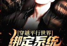 穿越平行世界:绑定系统我嫉恶如仇这本小说完结了吗?免费查看最新章节-美文小说