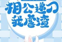 苏棠谢柏庭的完整故事在哪里？读替嫁小医妃，相公递刀我虐渣小说-美文小说