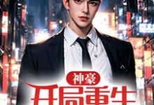 《神豪:开局重生学生时代》小说章节列表免费试读,王凯陈伟小说在线阅读-美文小说