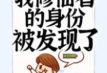 完结版《入赘后,我修仙者的身份被发现了》章节阅读-美文小说