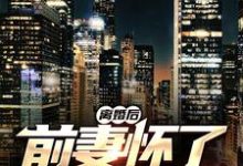 薛阳沈妤的故事在哪本书里？免费阅读离婚后，前妻怀了我的孩子-美文小说