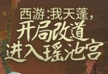 主角叫杜晨天蓬元帅小说西游:我天蓬,开局改道进入瑶池宫章节免费阅读-美文小说