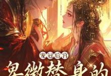 宠冠后宫：卑微替身的逆袭指南小说，宠冠后宫：卑微替身的逆袭指南章节在线阅读-美文小说