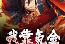 秦狩的故事在哪本书里？免费阅读我靠氪金无敌诸界-美文小说