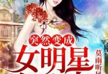 小说《突然变成了女明星怎么办》章节免费阅读-美文小说